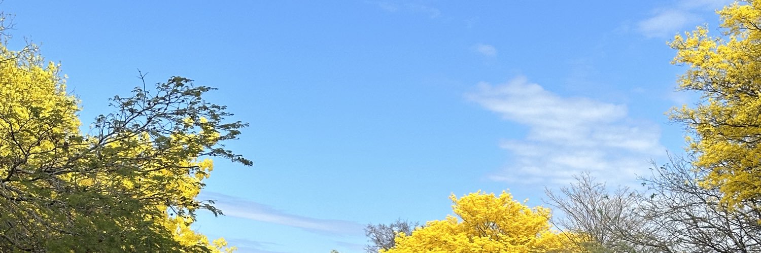 MariaCeMesa's profile banner image
