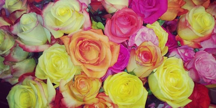 NormDelgadillo's profile banner image