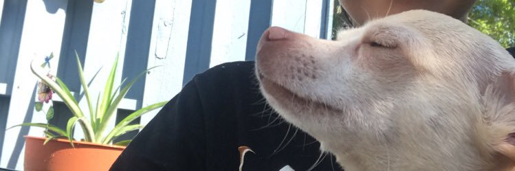 karleymartinez's profile banner image
