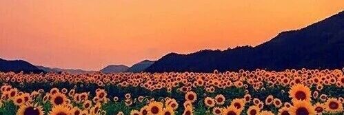 FreeSould_'s profile banner image