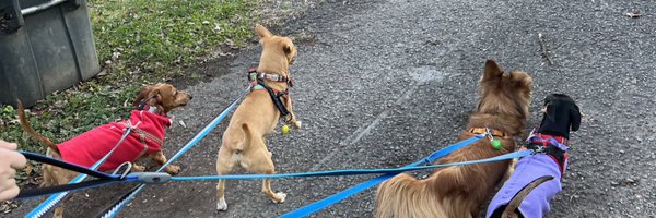 kim_day Profile Banner