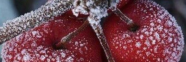 MongeonMarc Profile Banner