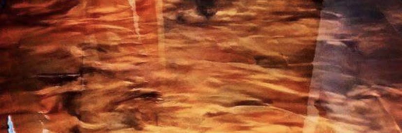 she_WiiiLL's profile banner image