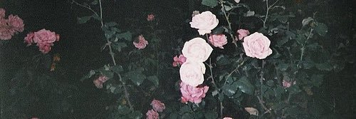 unkounko3jsb's profile banner image