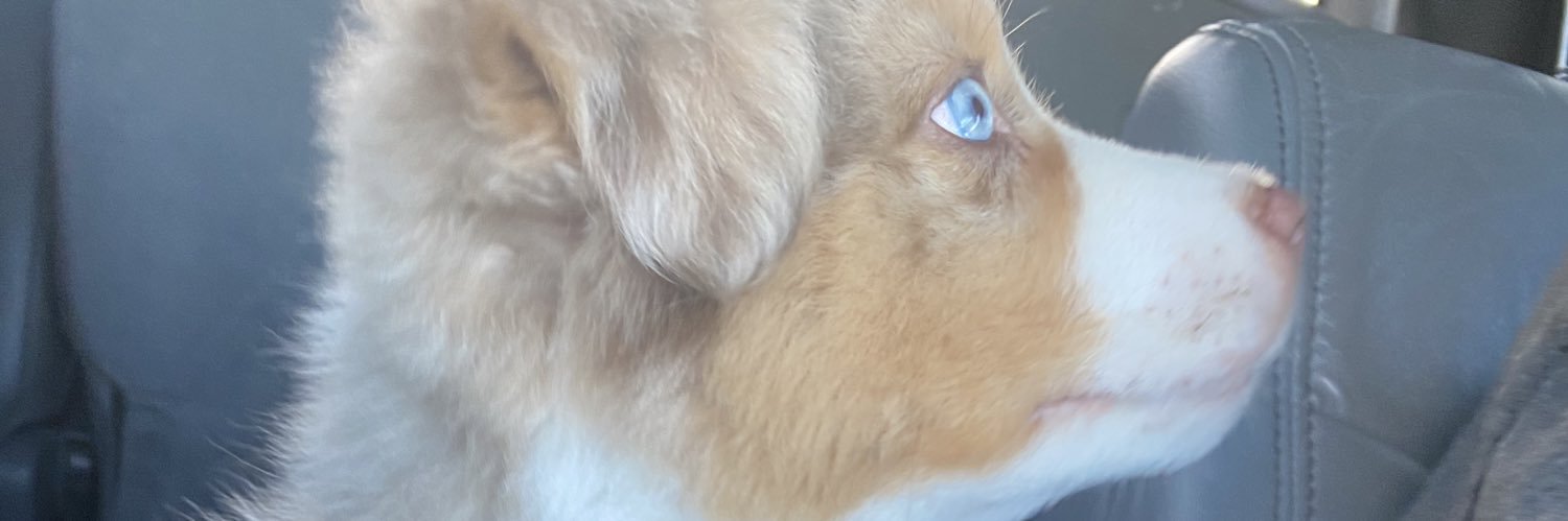 thatonechickk05's profile banner image
