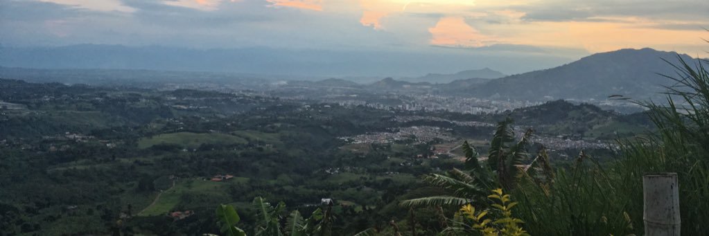 nessapalacio_'s profile banner image