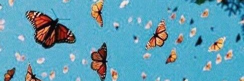 _smithannabelle's profile banner image