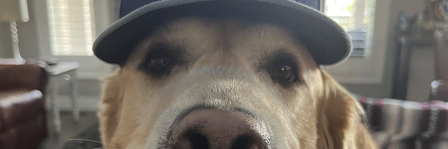 PVDMedic's profile banner image