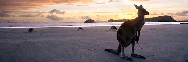 JustinEnglert's profile banner image