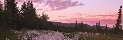Nooooonty's profile banner image