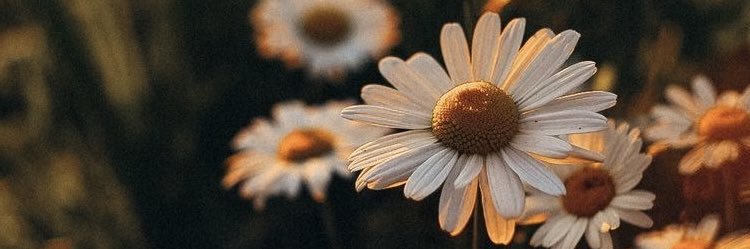 tanawells_'s profile banner image
