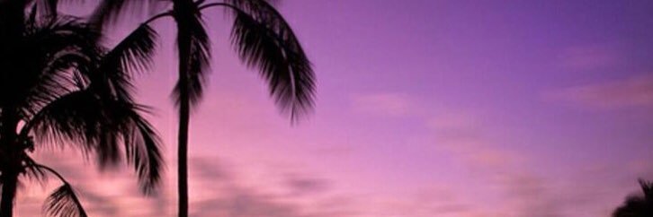 mh002486's profile banner image