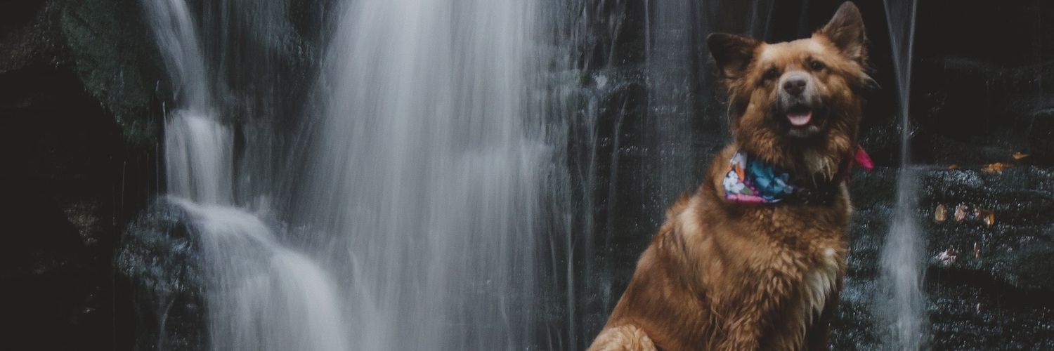 KayySis's profile banner image