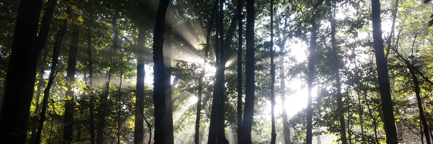 PostLyme's profile banner image