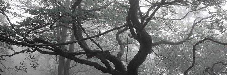 moundazed's profile banner image