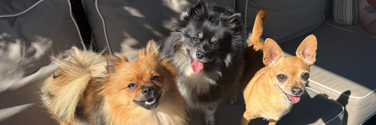 lindssaayyee's profile banner image