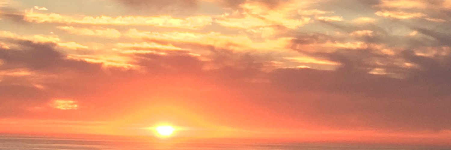 SandraBeachLife's profile banner image
