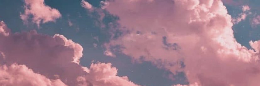 _tayfl0res's profile banner image