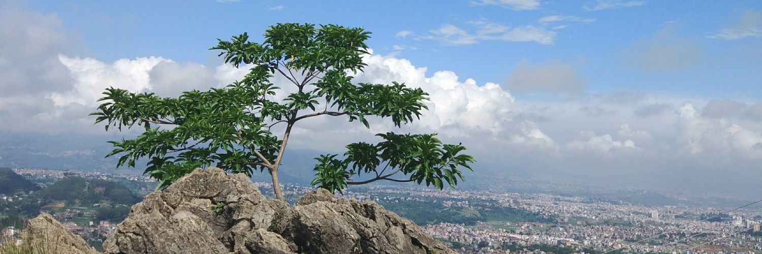 ShresthaBrijan's profile banner image