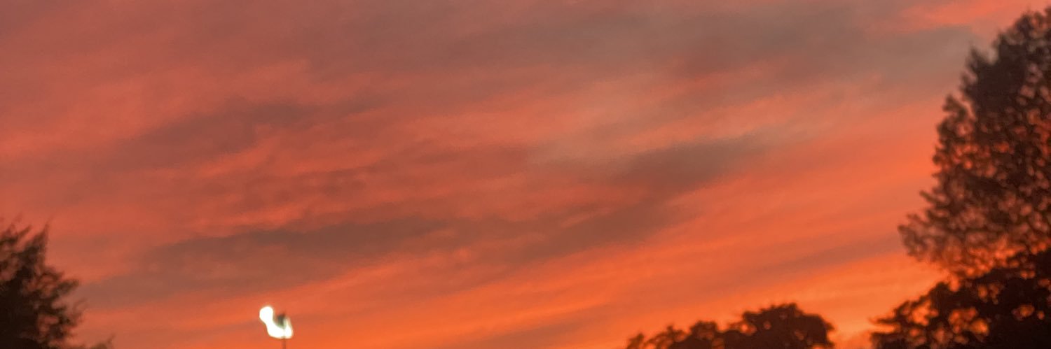 dannicanm's profile banner image
