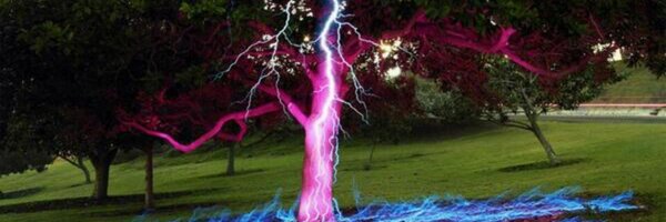 bsell25 Profile Banner