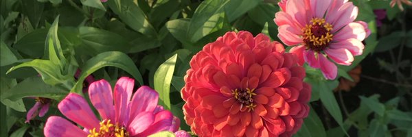 cool2bnerdy Profile Banner