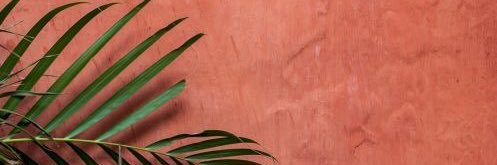 DinorahAhora's profile banner image
