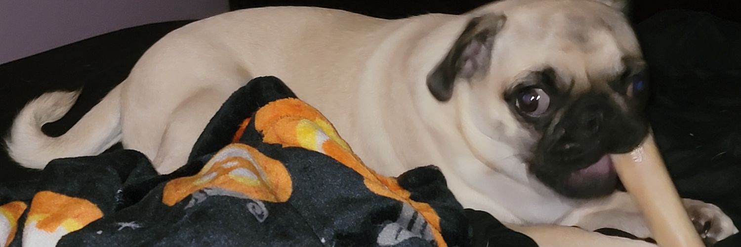 MJDJR1998's profile banner image