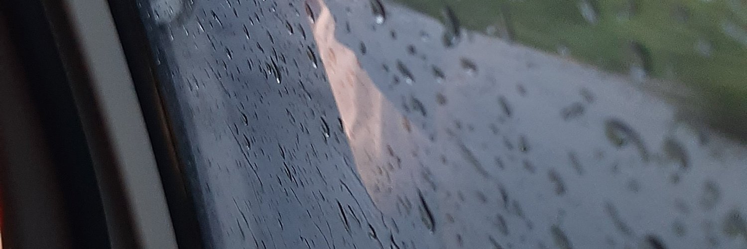 hazel banner