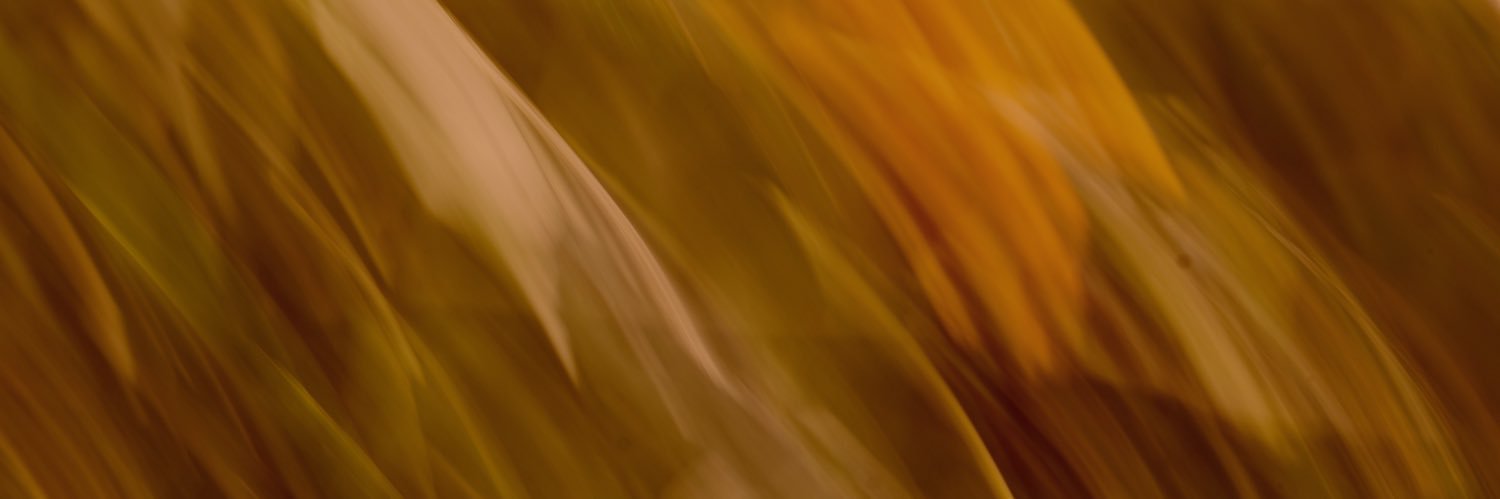jigglipuffs's profile banner image
