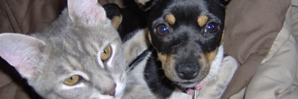 DebbyImn's profile banner image