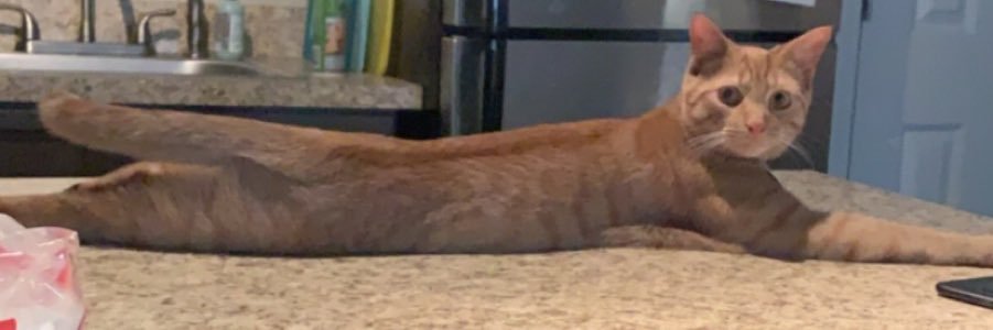ryleighkw's profile banner image