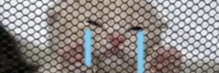 TochoBR's profile banner image