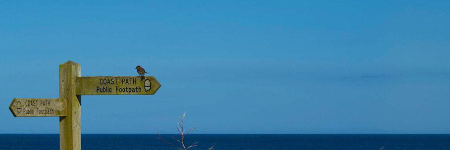 youmaynotknow_'s profile banner image