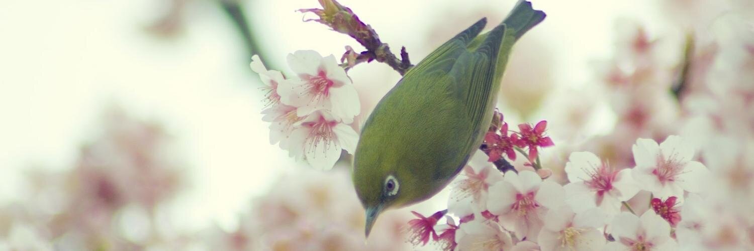 amrikW's profile banner image