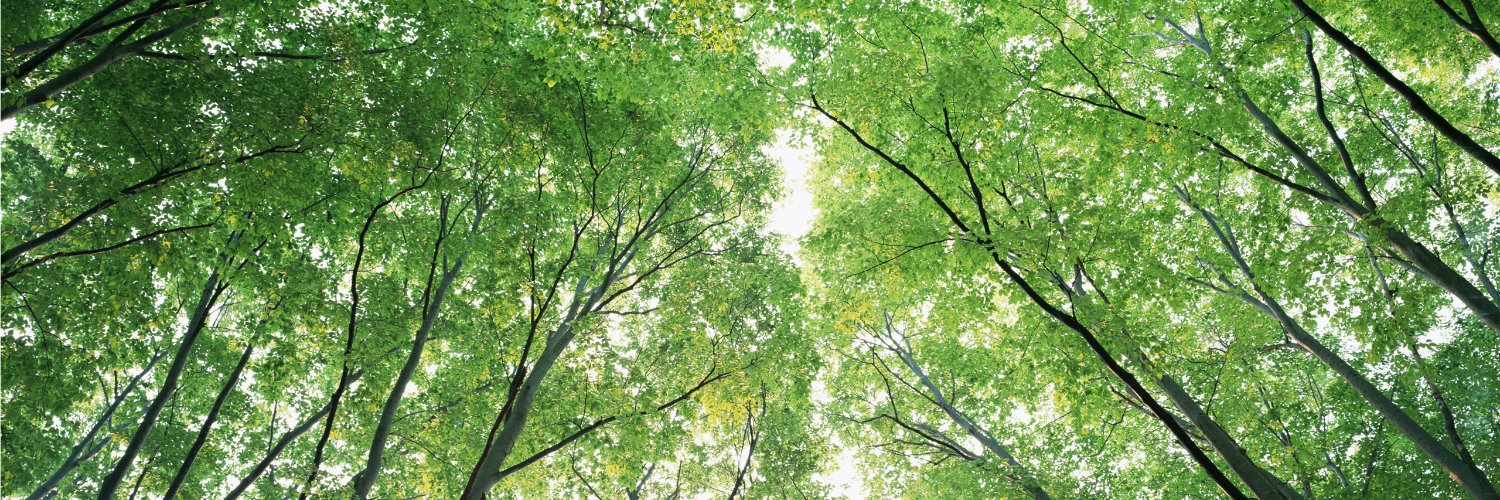 CountryLifeInfo's profile banner image
