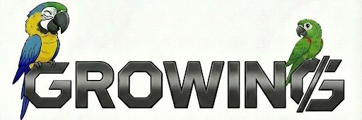 GROWING̷ banner