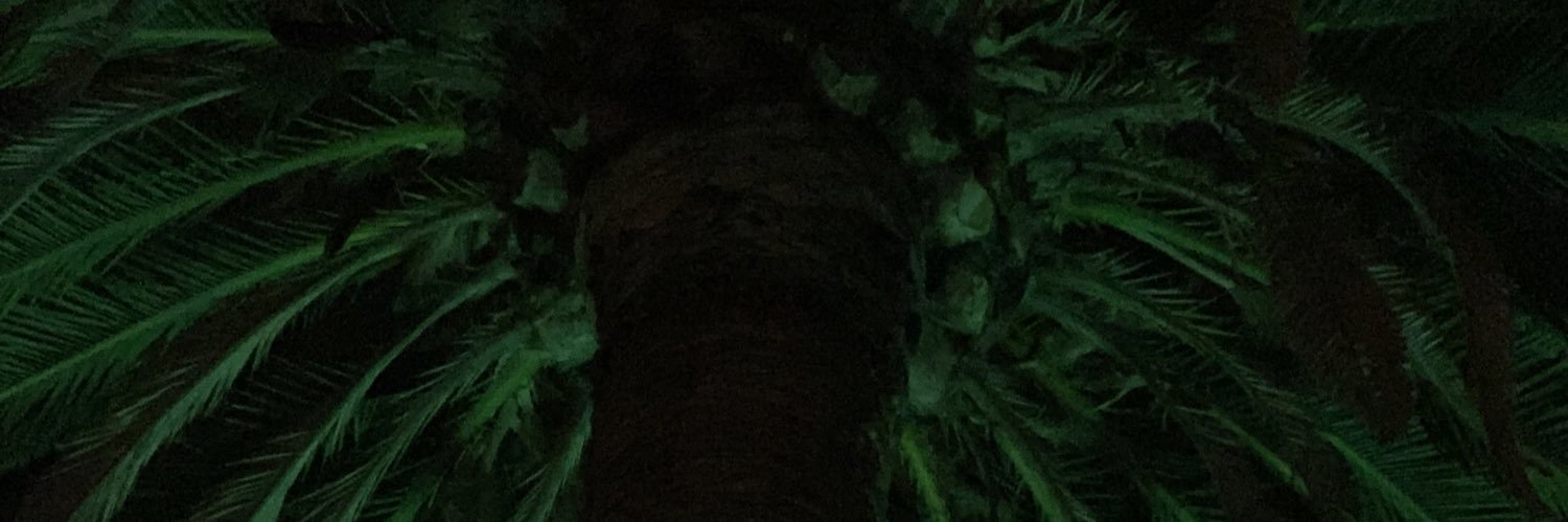 Stoopedboy's profile banner image