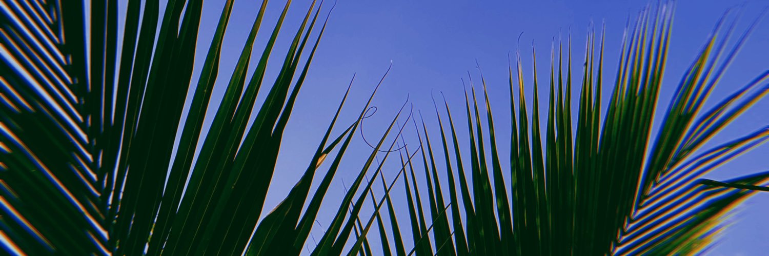 JeSuisTonya's profile banner image
