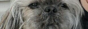 BarbinPH's profile banner image
