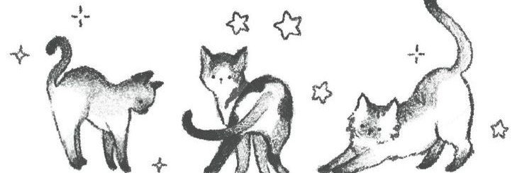 aeicia13's profile banner image