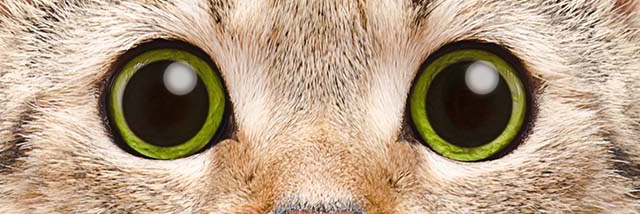 bybrrn35's profile banner image