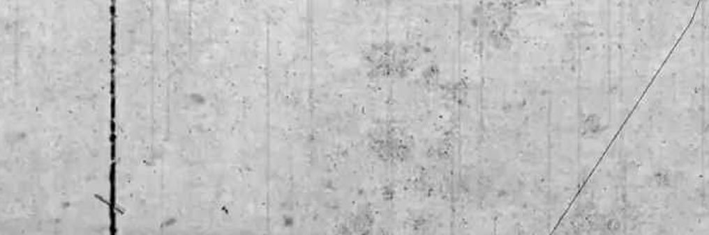simon banner