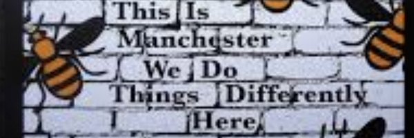 vikblythe Profile Banner