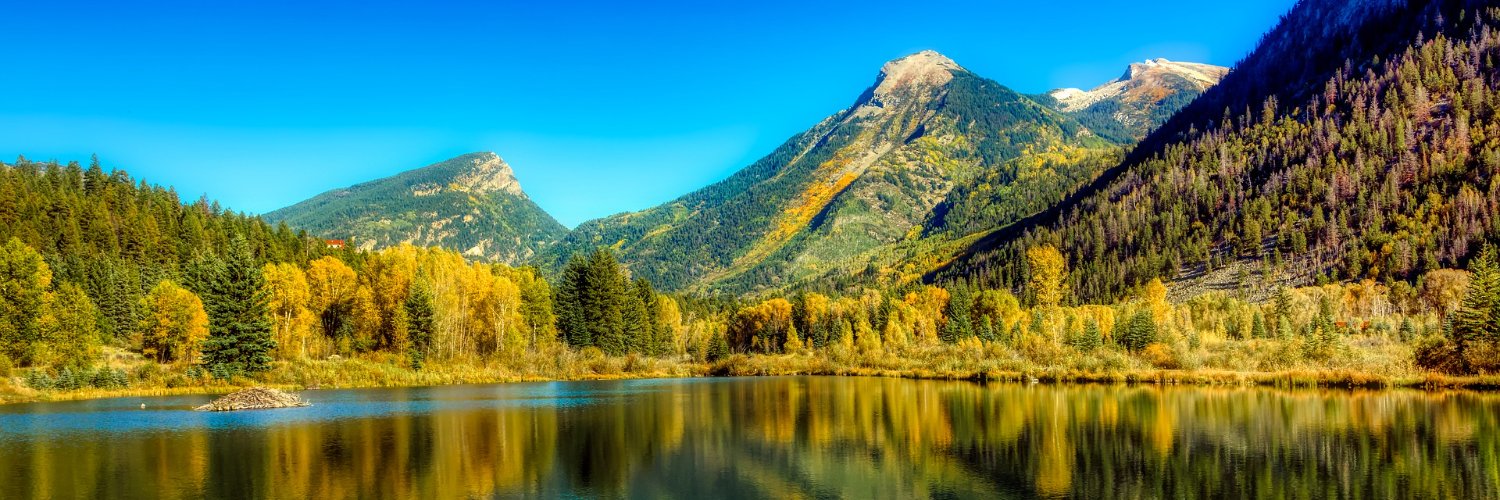 Michael Bennet banner