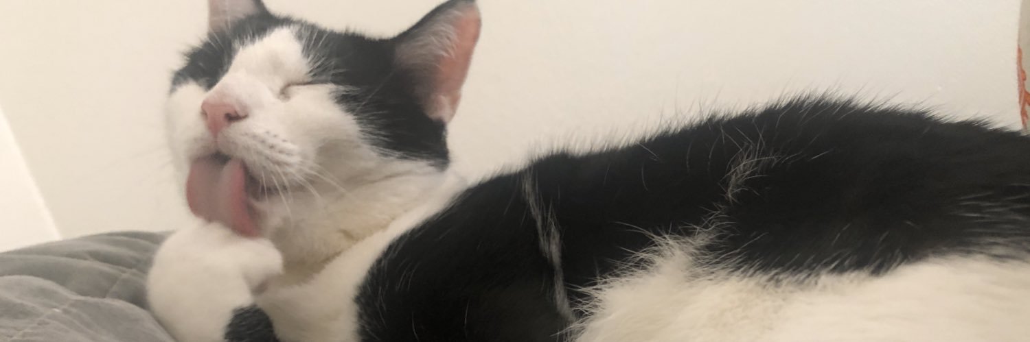 Jen_Gerdano's profile banner image