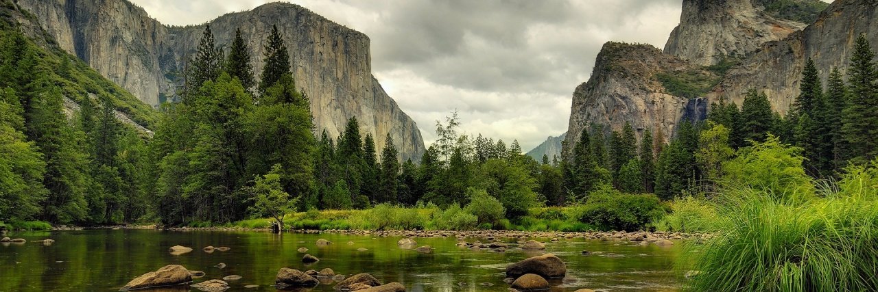 kenneth ericson banner