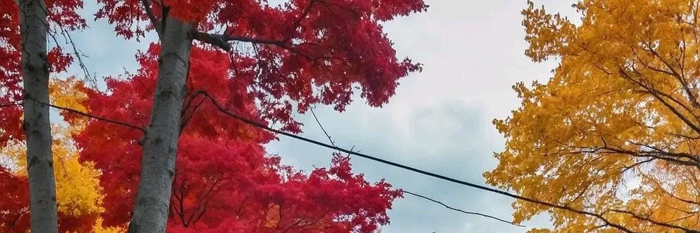 raphkas15's profile banner image