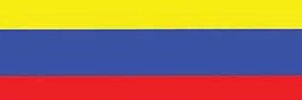 Carlos Tamayo banner