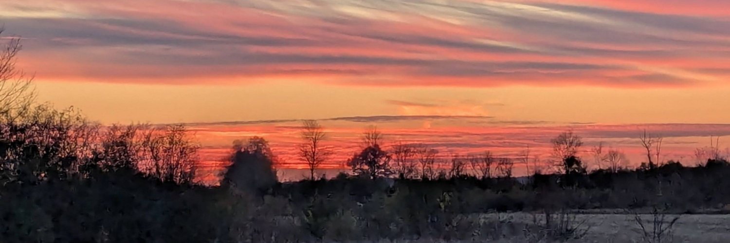 Annabella ❯❯❯❯❯ banner